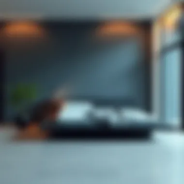 Modern floor bed with minimalist design