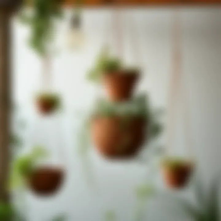 Creative use of hanging pots adorned with trailing plants and herbs