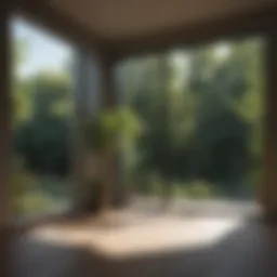 Sleek modern window design with natural lighting