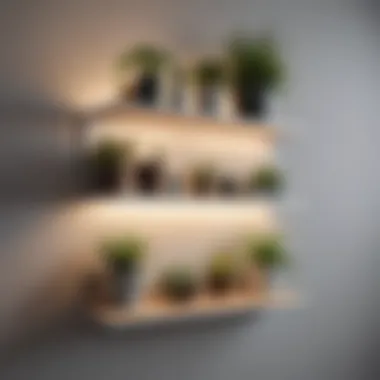 Bespoke Shelving for Personal Touch Custom-built shelves showcasing personal items and plants