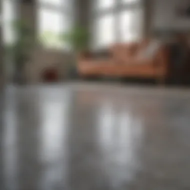Seamless Installation in Home Design Installation of non-porous flooring in a residential space