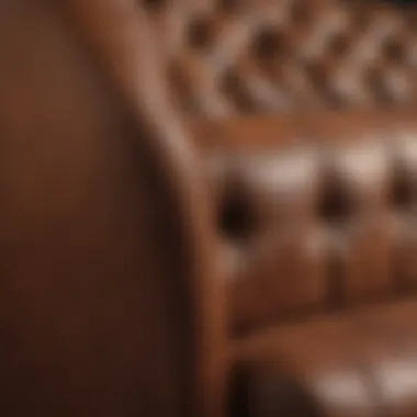 Various types of leather used in upholstery