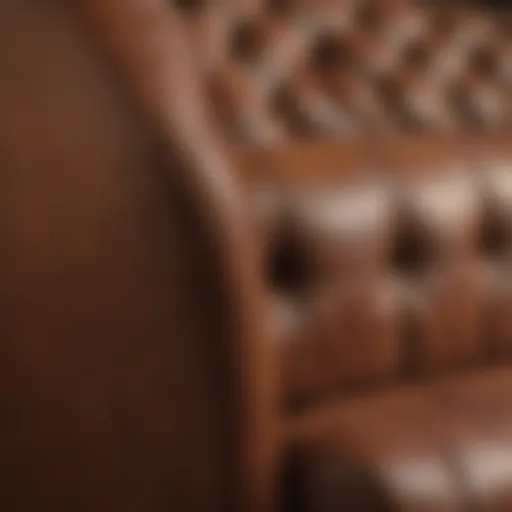 Various types of leather used in upholstery
