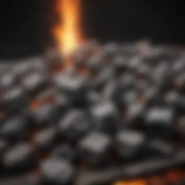 Exploring Varieties of Charcoal for Grilling Different types of charcoal for grilling