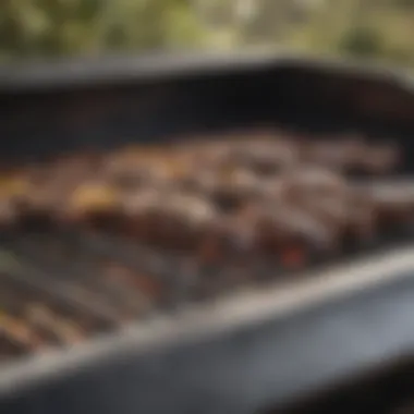 Adjusting Ventilation for Optimal Heat Control Ventilation adjustment on a charcoal grill