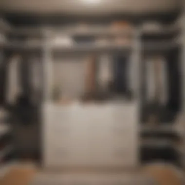 Organized closet with neatly arranged clothes