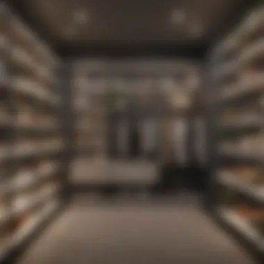 Illuminate Your Design with Clever Shelving Stylish closet interior featuring innovative shelving and lighting