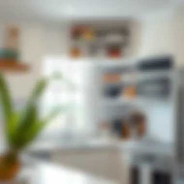 Functional Kitchen Efficiency Functional corner cabinet organizer enhancing kitchen efficiency