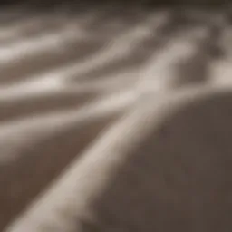 A close-up of organic cotton fabric showcasing its texture and quality