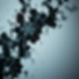 Close-up view of black mold on a wall