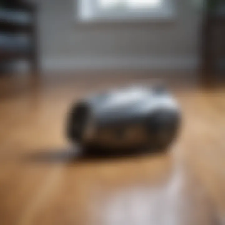 Features to look for in a pet hair vacuum