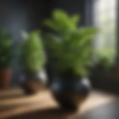 Foliage Plants to Enhance Outdoor Aesthetics Lush greenery of foliage plants in elegant pots
