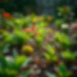 A lush garden in spring showing vibrant plant growth and fertile soil