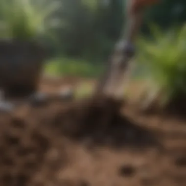 Soil Preparation Techniques Soil preparation with gardening tools