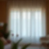 Elegant sheer curtains enhancing light