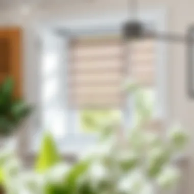 Stylish blinds complementing small window