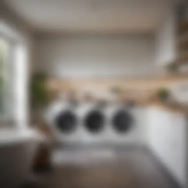 Stylish and aesthetically pleasing laundry room that combines functionality with design.