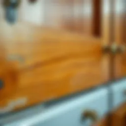 Close-up of oak cabinet surface before painting