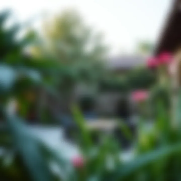 Beautifully landscaped patio integrating trees and plants