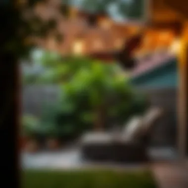 A peaceful backyard environment showcasing the coexistence of bats and human habitation