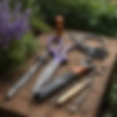Essential Pruning Tools Pruning tools laid out for effective wisteria maintenance