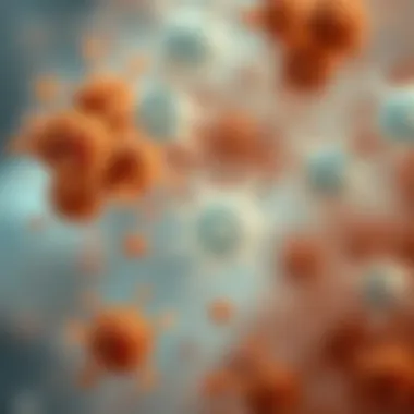 Mildew spores under a microscope