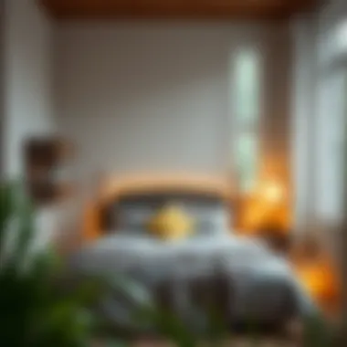 Notable Romantic Ideas for the Bedroom Notable Romantic Ideas for the Bedroom