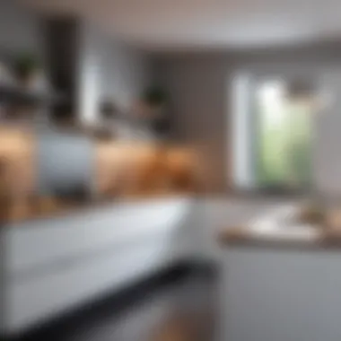Achieving Optimal Organization in Kitchens Functional kitchen with optimal organization