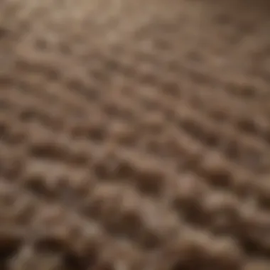 Close-up of carpet fibers illustrating durability