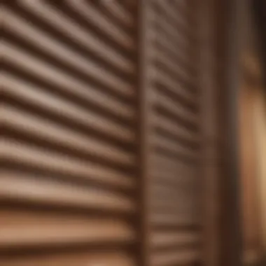 Close-up of a wooden interior window shutter showcasing craftsmanship