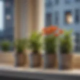 A collection of vibrant small plants arranged on a sunny windowsill.