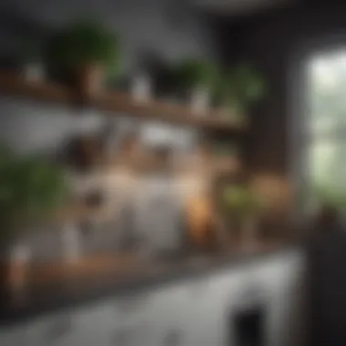 Stylish Wall Shelves in a Compact Kitchen Stylish wall shelves displaying plants and decor