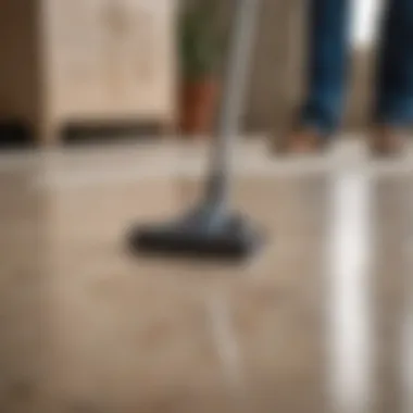 Home environment with flea prevention measures, like vacuuming