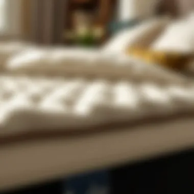 Luxurious Tempur-Pedic mattress topper showcasing its plush texture