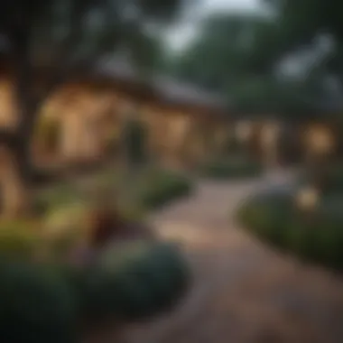 Texas Culture in Landscape Design Landscaped garden reflecting Texas culture