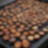 Diverse selection of wood types used for grilling