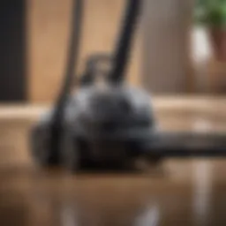 Powerful vacuum designed for effective flea removal