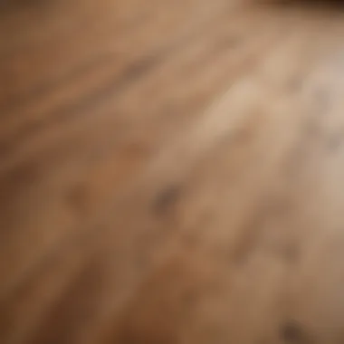 A close-up view of a beautifully stripped wood floor