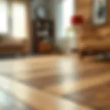 Detailed close-up of different hardwood textures