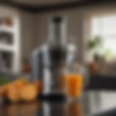 Durable Stainless Steel Juicer A high-quality stainless steel juicer showcasing durability and elegance