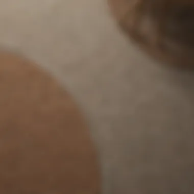 Close-up of different carpet materials suitable for dining areas