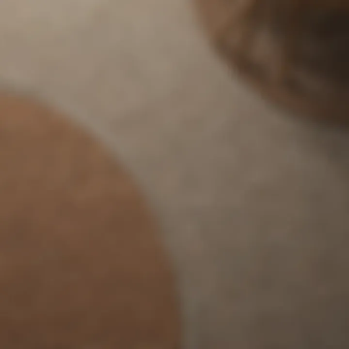 Close-up of different carpet materials suitable for dining areas
