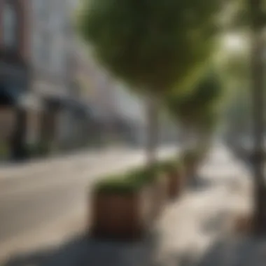 A street lined with tree plant boxes, enhancing the sidewalk's appeal.