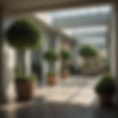 Modern Indoor Space with Forever Green Topiary A modern indoor space featuring a stylish forever green topiary as a focal point