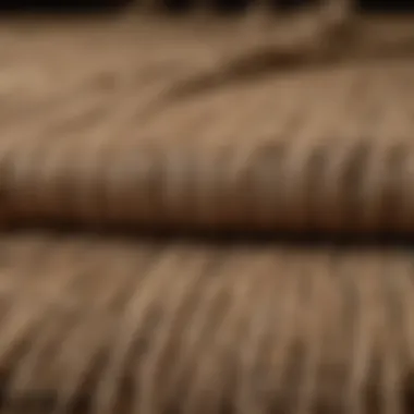 Close-up view of jute fibers showcasing texture and durability