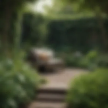 Inviting Seating in a Serene Garden Cozy outdoor seating area in a tiny garden with green foliage