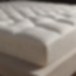 High-quality foam mattress topper showcasing durability and comfort