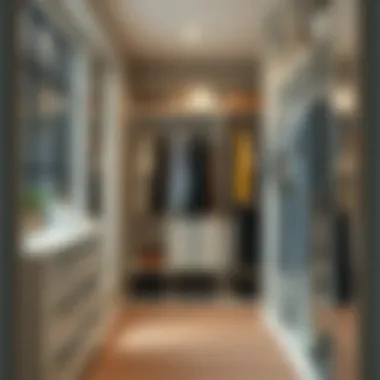Smart Organization in Walk-In Closets Smart organization tips for maximizing space