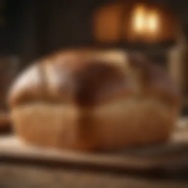 A beautifully baked loaf of bread from a dough maker