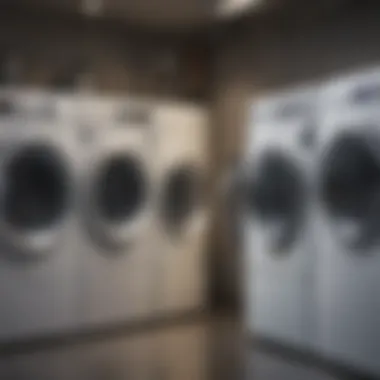 Varieties of Clothes Dryer Cleaners Different types of dryer cleaners on display